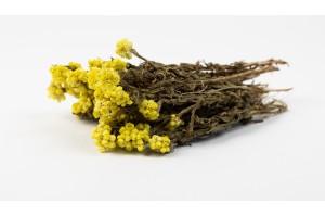 dried-sanfordi-natural-24.