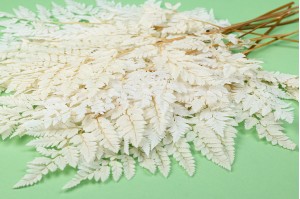 Preserved leather fern white /cream  (YE)