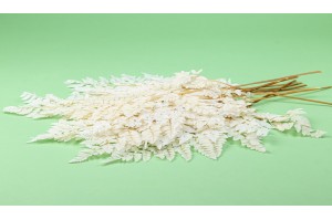 preserved-leather-fern-whitecream-ye.