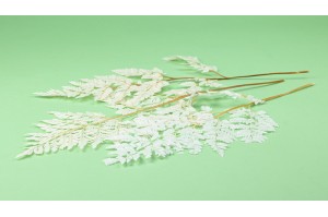 preserved-leather-fern-whitecream-ye.
