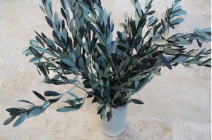 preserved-provencal-olive-green-11.