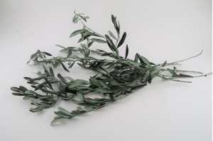 preserved-provencal-olive-green-11.