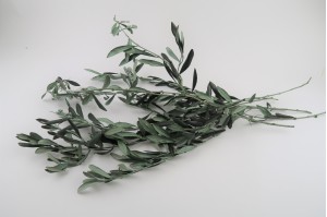 Stabilisierter Provencalisch Olive - grün (IT)