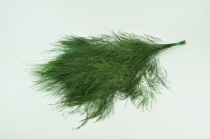preserved-tiki-green-it.