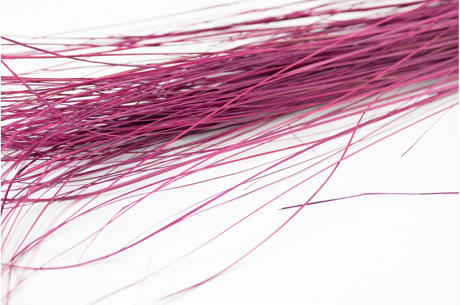 Dried Bear grass purple (7)* (500g)