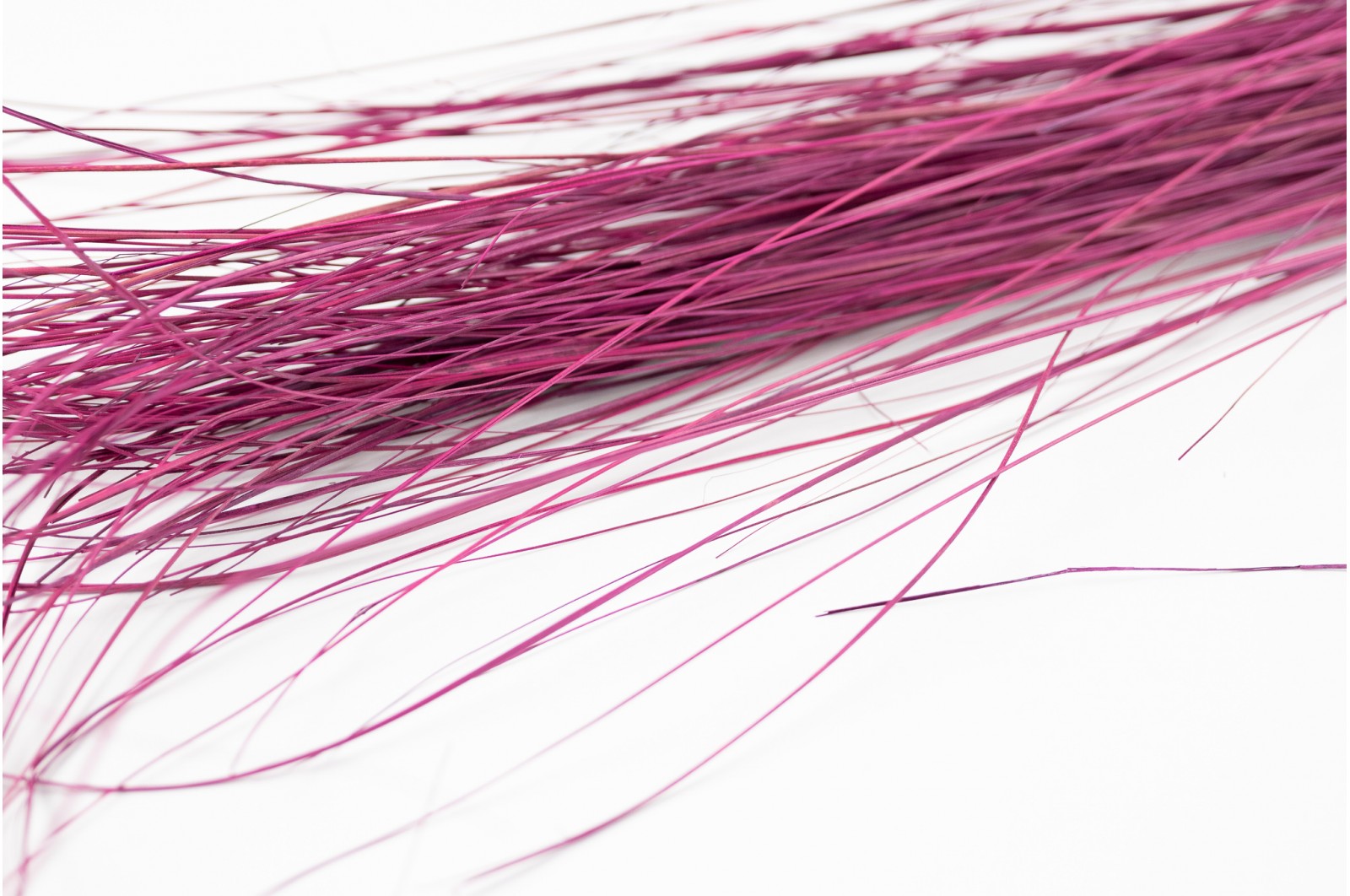 Dried Bear grass purple (7)* (500g) dried-bear-grass-purple-7
