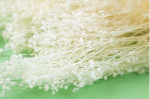 dried-broom-whitecream-8