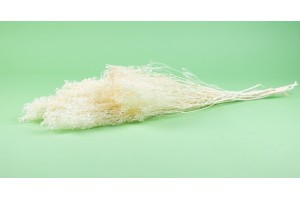 dried-broom-8.