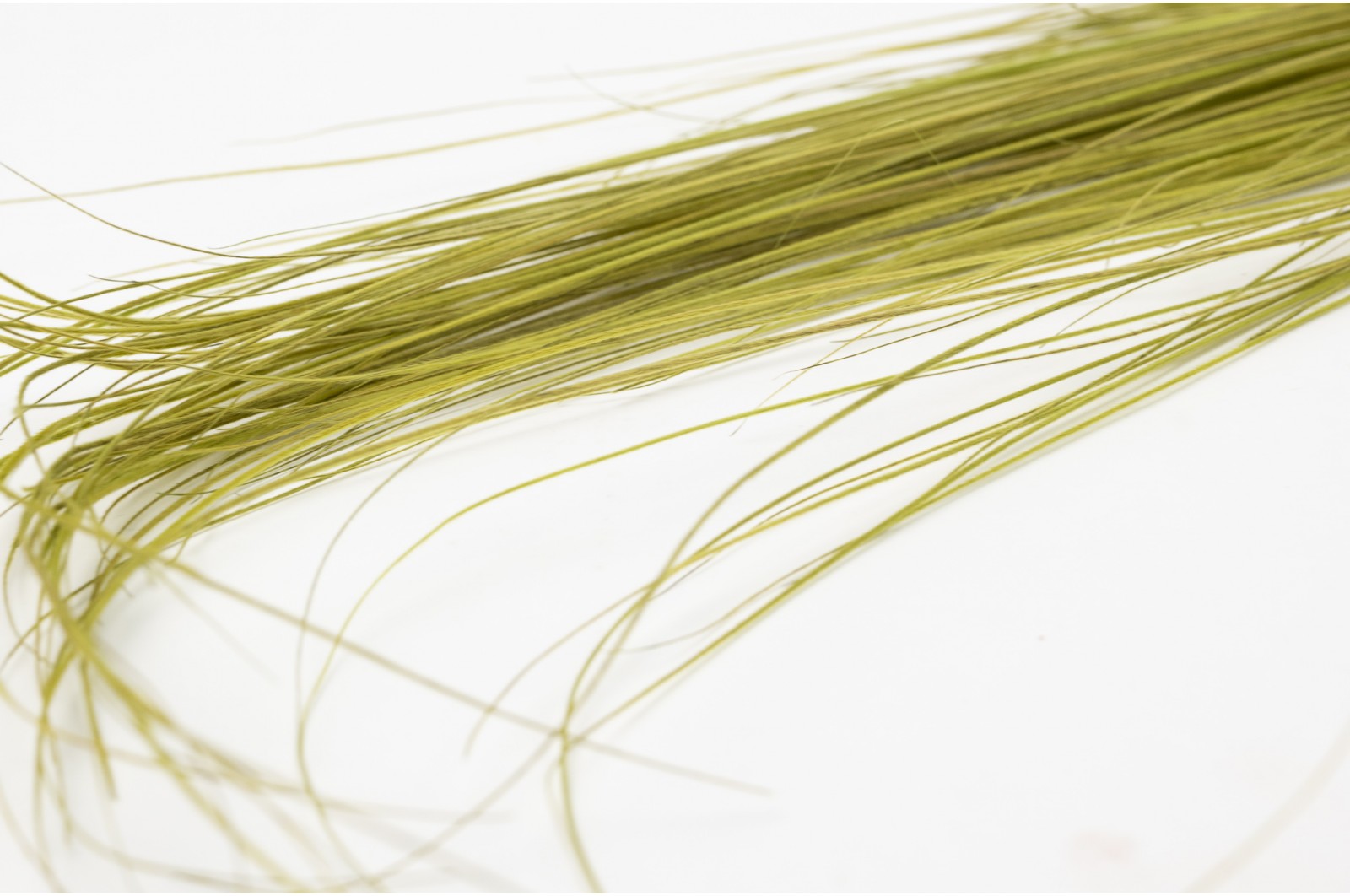 Stabilisierte bright grass (6)* stabilisierte-bright-grass-6