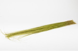 preserved-bright-grass-6.