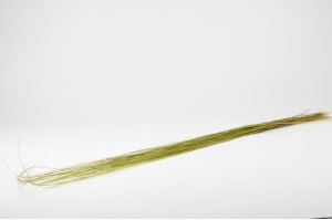 preserved-bright-grass-6.
