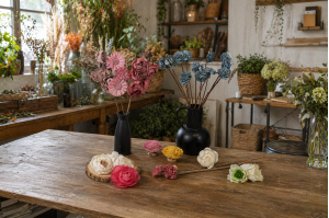 Sola flowers pour les professionnels de la décoration végétale