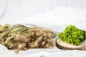 Fleurs séchées en vrac pour les professionnels de la décoration 