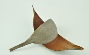 Decorative wood - Wholesaler - Wholesale / Online Purchase