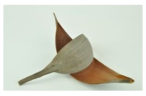 Decorative wood - Wholesaler - Wholesale / Online Purchase