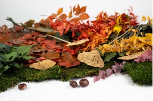 Collection Automne Hiver