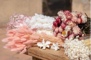 Collection de fleurs stabilisées et fleurs séchées pour la fête des mères|Grossiste|Prix de gros|vente aux pros