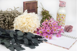 Selection of stabilized and dried flowers for back-to-school|Wholesaler|wholesale prices|professional sales