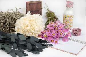 Sélection de fleurs stabilisées et fleurs séchées pour la rentrée|Grossiste|Prix de gros|vente aux pros