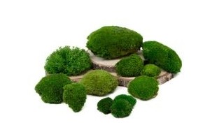 Mousses boules stabilisées – Relief et volume pour vos décors | Phocealys