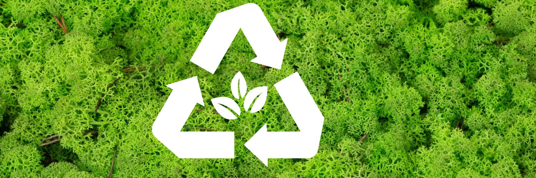 Phocealys grossiste eco responsable