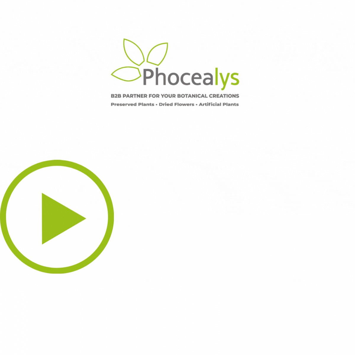How to create a customer account Phocealys
