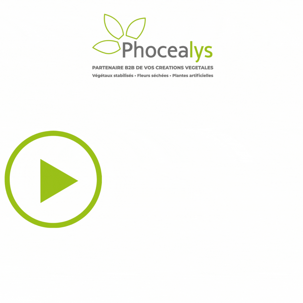 Comment passer commande