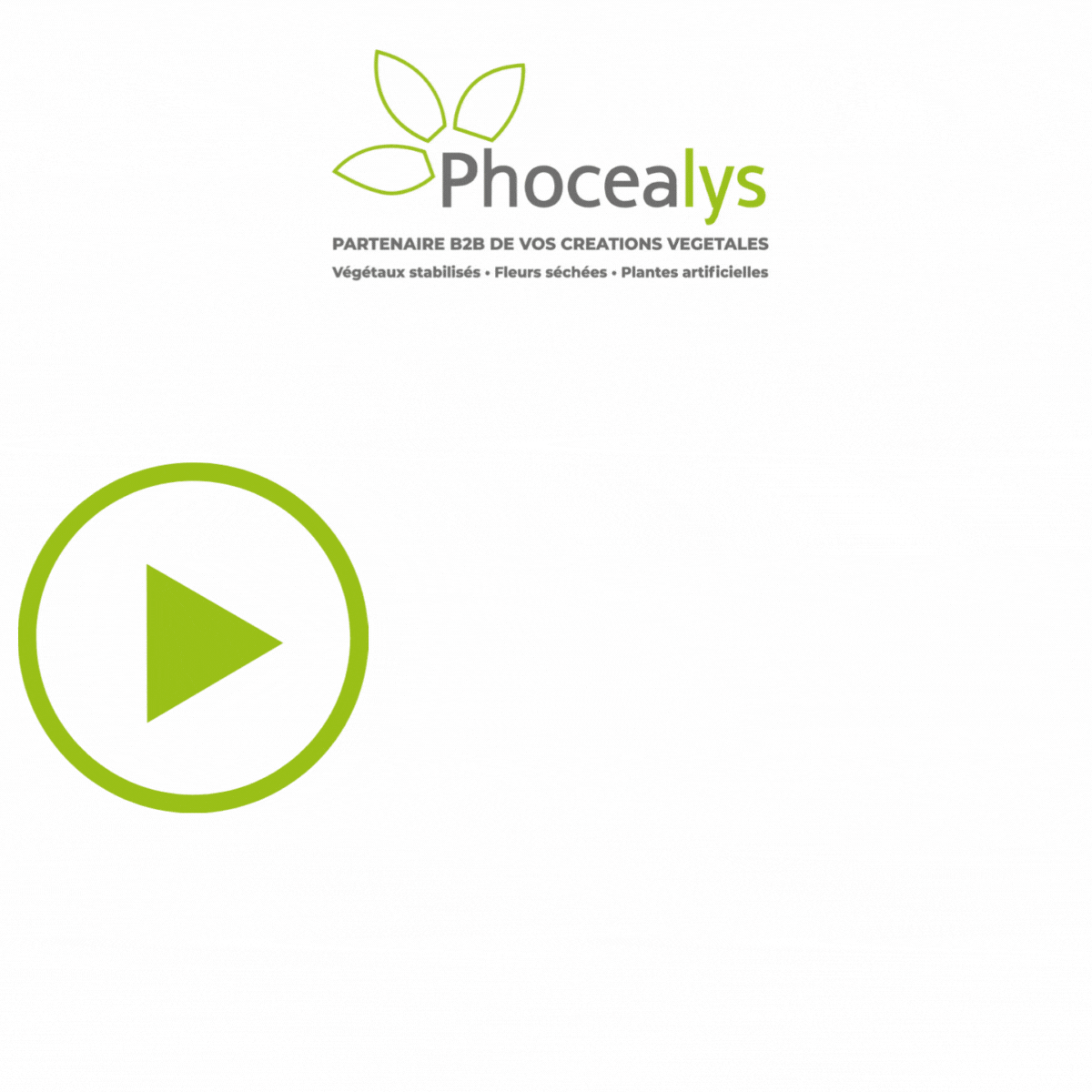 Comment récupérer un mot de passe perdu ?