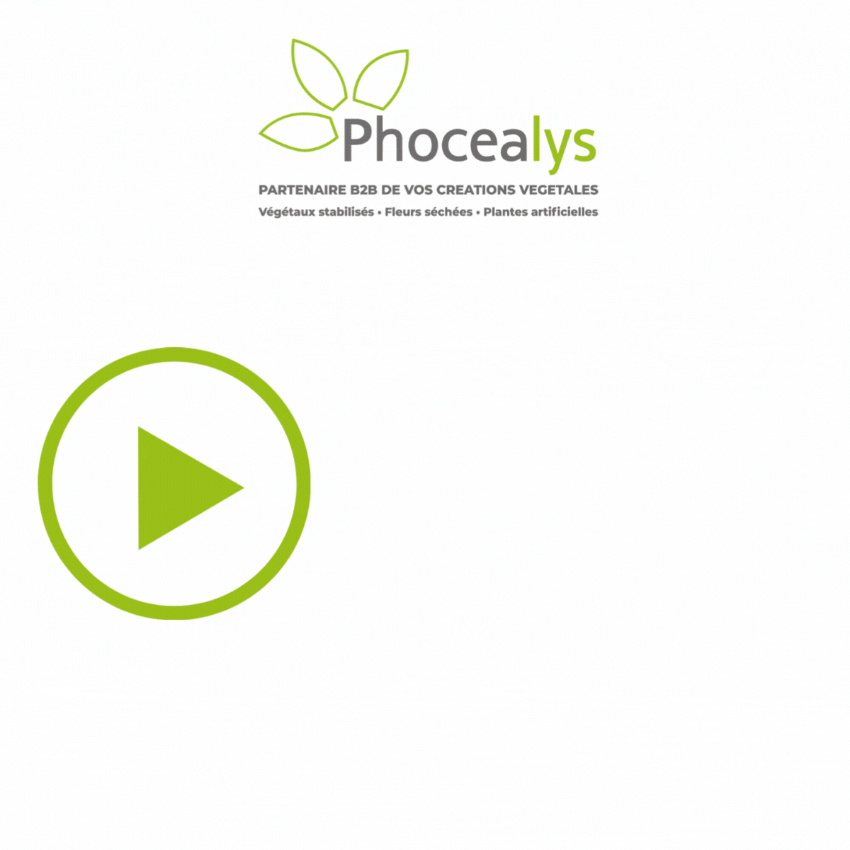 Remises quantitatives Phocealys