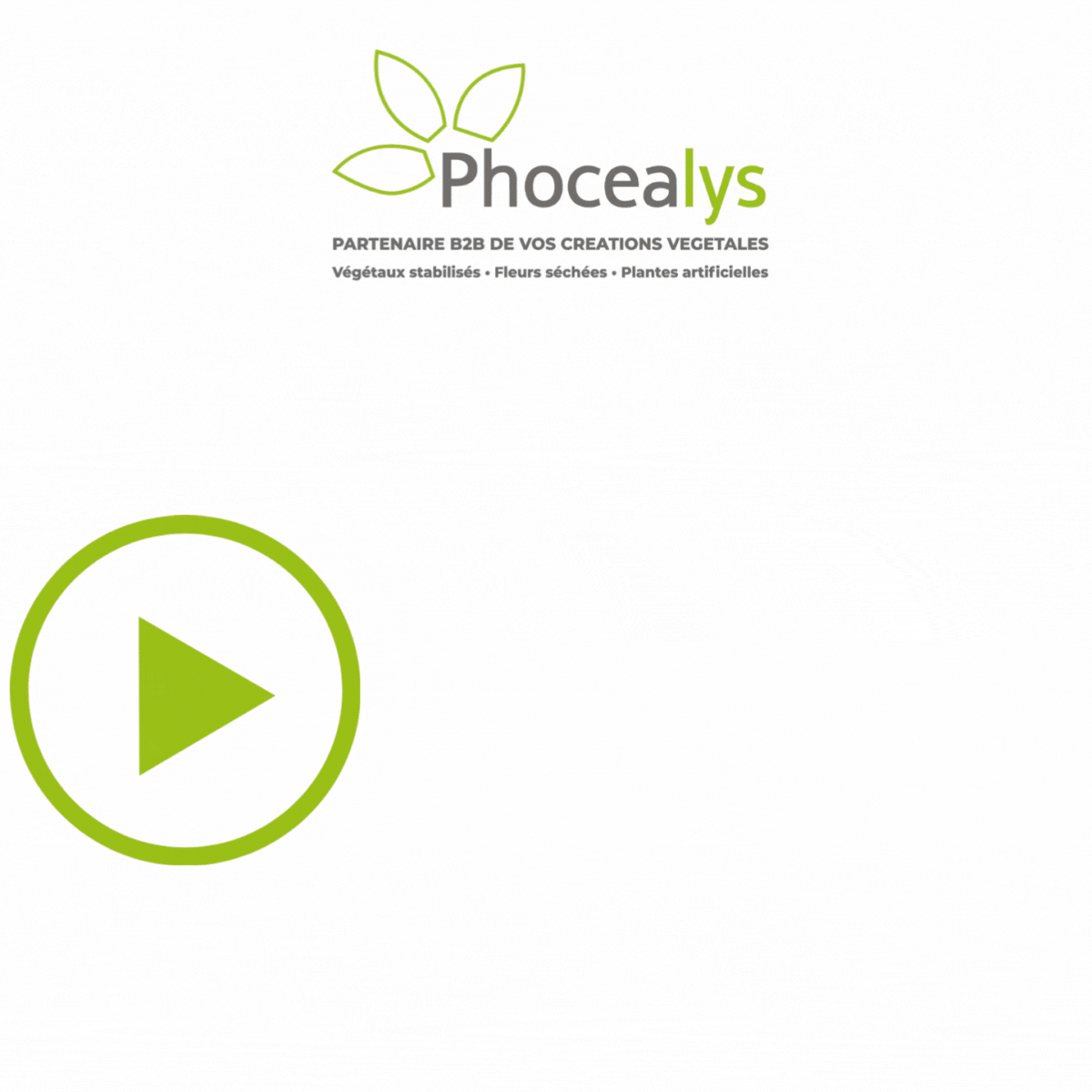 Alerte disponibilité produit en stock