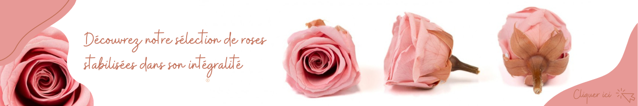Sélection de roses