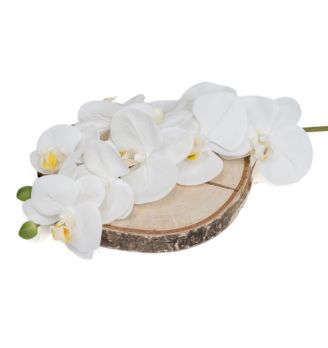 Artificial Flowers Phocealys