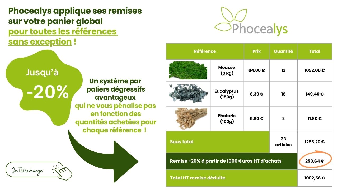 Remises tarifaires Phocealys