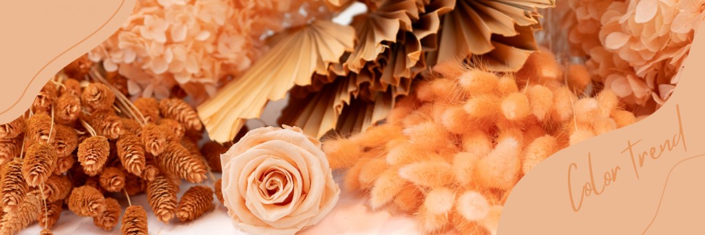 Comment Peach Fuzz de Pantone inspire la décoration végétale durable