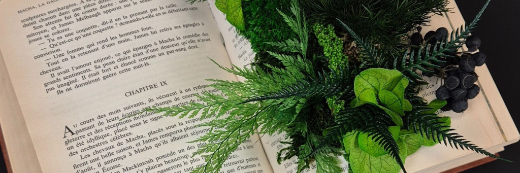 Wenn die Natur Alltagsgegenstände neu erfindet