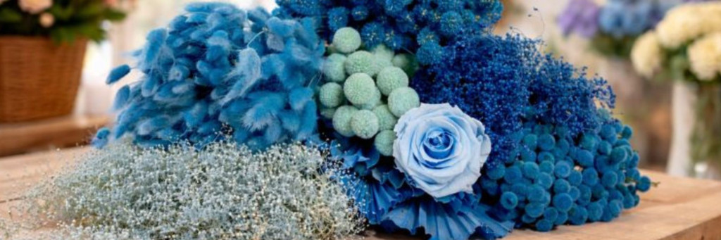 Was wäre, wenn der Blue Monday vor allem unser Bedürfnis nach visuellem Komfort 