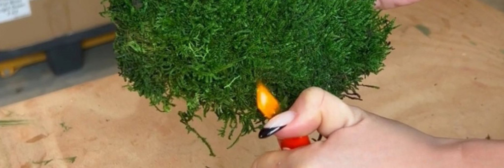 Brandsicheres Moos für professionelle Gestaltung