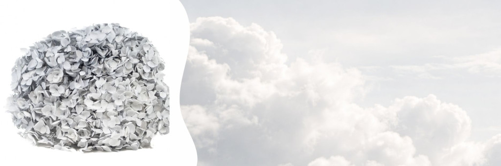 Couleurs & tendances végétales : quand l’inspiration devient ressource créative 