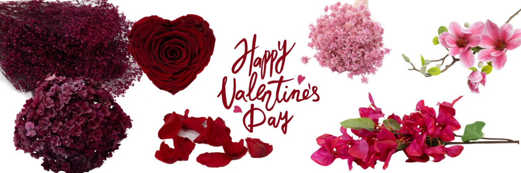 Valentine’s Day: Dried, Preserved or Artificial Plants?