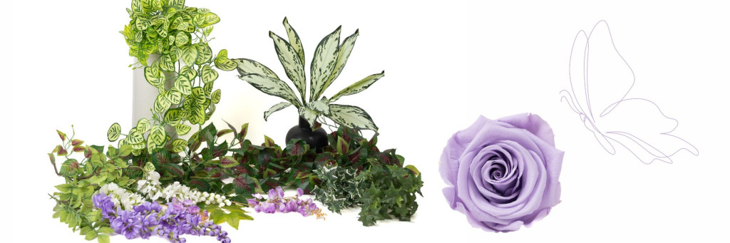 Catalogue Printemps : une nouvelle lecture du végétal sans entretien