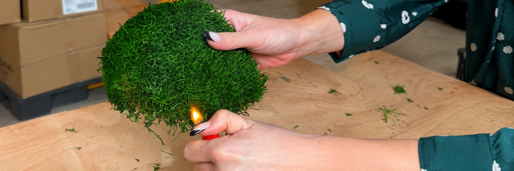 Sécurité incendie et décoration végétale en ERP : comprendre les obligations