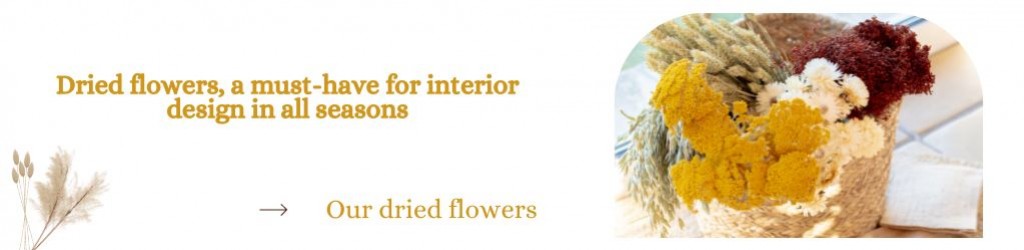 Dried flowers, a must-have for interior design in all seasons
