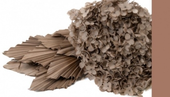 Mocha Mousse: Farbe des Jahres 2025 von Pantone